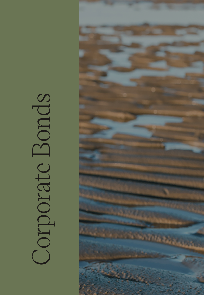 Corporate bonds-vores fonde