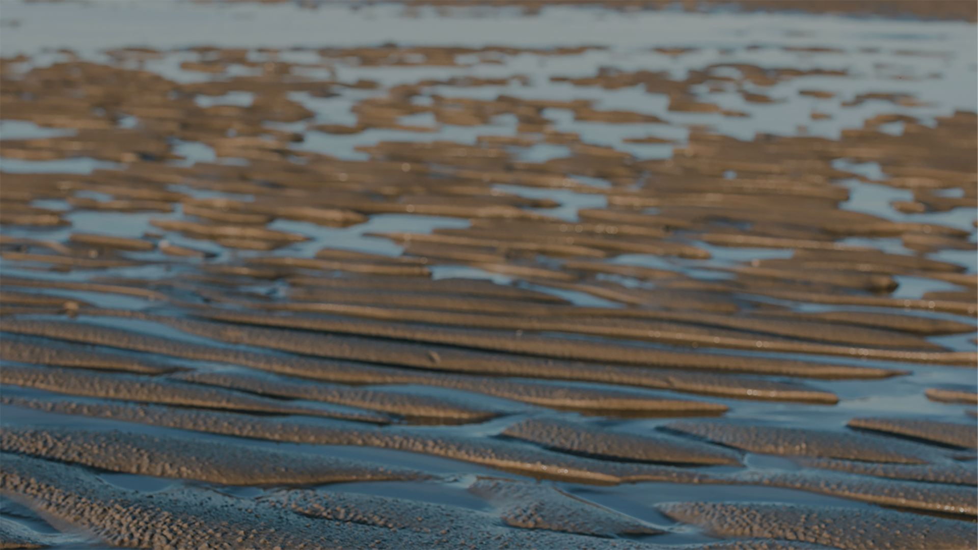 Systematisk allokering-banner-hjemmeside