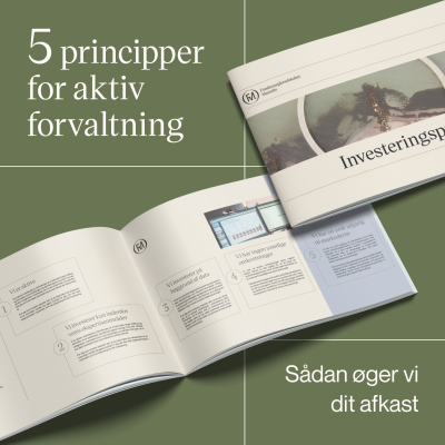 Investeringsprincipper_teaserbillede til hjemmesiden